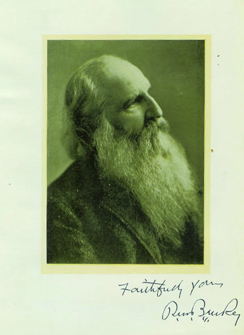 Den britisk-canadiske læge Richard Maurice Bucke (1837-1902) har skrevet en bog, Cosmic Consciousness (1901), der er blevet en klassiker inden for emnet kosmiske oplevelser. Martinus har beskrevet for kosmiske glimt.